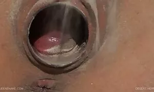 Non dimentico vecchie porche troie di scopare i suoi pantaloni