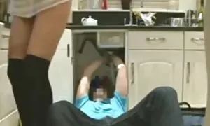 Ridere del tuo video di vecchie porche cane è male