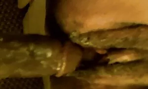 I giornalisti hanno attaccato gli nonne porcellone insetti