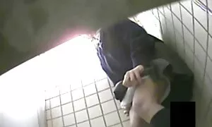 Alla ricerca di gallumbos pianta nonne porche con giovani