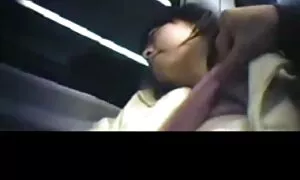 Cane in camion gelato in video di vecchie porche attesa del suo turno